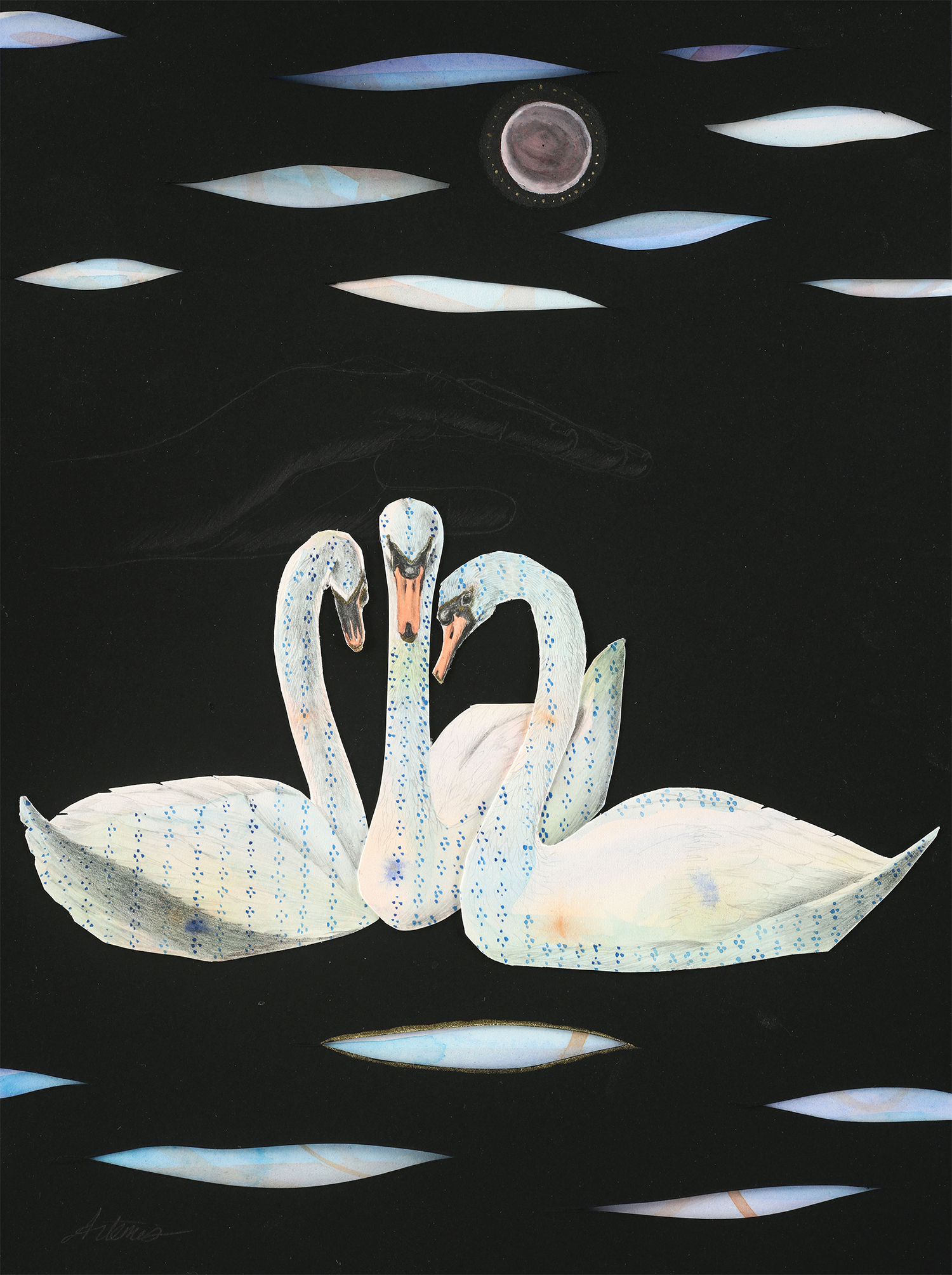 A threesome of Mute Swans on a black background with a hand in a protective gesture above them.